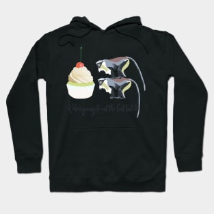 Monkeys and Cupcakes Hoodie